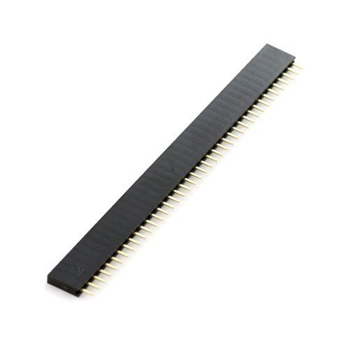 40-Pin Female Header Strip